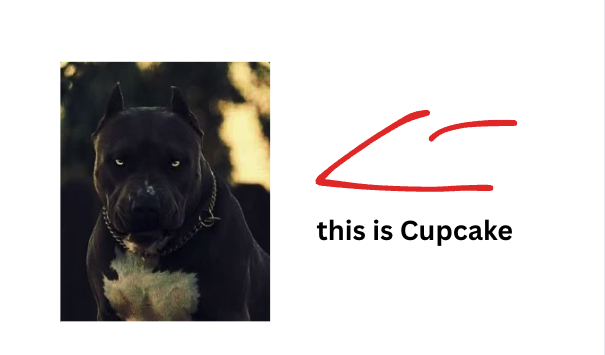 this is Cupcake